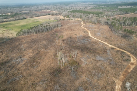 184 Acres of Prime Hunting & Recreation Lawrence County MS - image 14