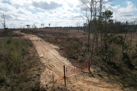 184 Acres of Prime Hunting & Recreation Lawrence County MS - image 24