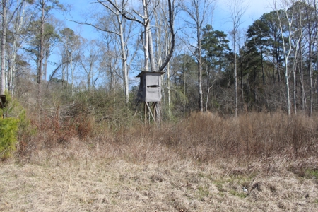 184 Acres of Prime Hunting & Recreation Lawrence County MS - image 2