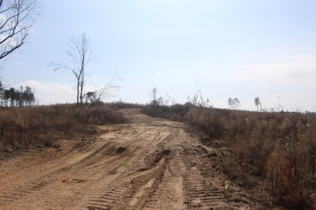 184 Acres of Prime Hunting & Recreation Lawrence County MS - image 10