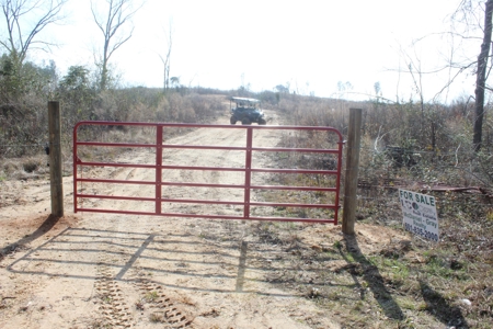 184 Acres of Prime Hunting & Recreation Lawrence County MS - image 9