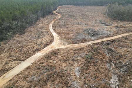 184 Acres of Prime Hunting & Recreation Lawrence County MS - image 15