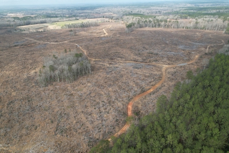 184 Acres of Prime Hunting & Recreation Lawrence County MS - image 17