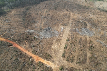 184 Acres of Prime Hunting & Recreation Lawrence County MS - image 13