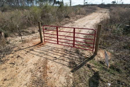 184 Acres of Prime Hunting & Recreation Lawrence County MS - image 11