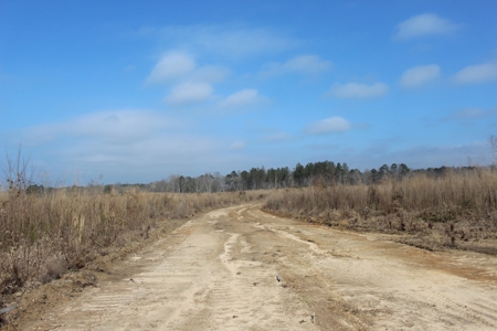 184 Acres of Prime Hunting & Recreation Lawrence County MS - image 6