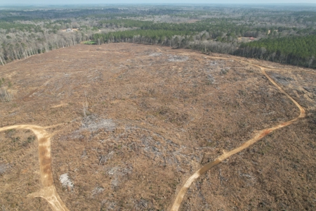 184 Acres of Prime Hunting & Recreation Lawrence County MS - image 12