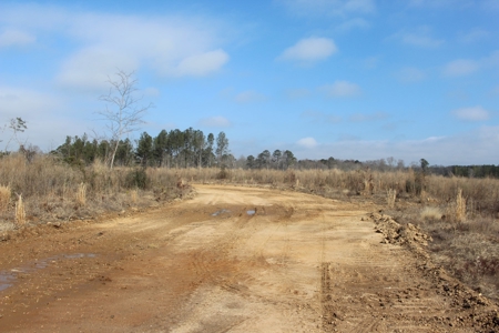 184 Acres of Prime Hunting & Recreation Lawrence County MS - image 7