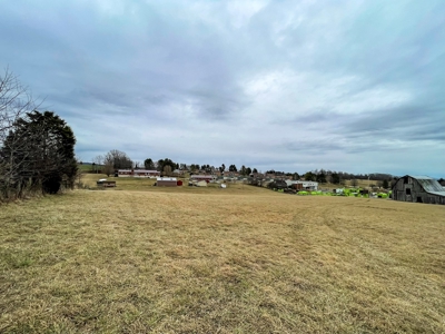 Prime Industrial-Zoned Property For Sale In Wytheville VA - image 2