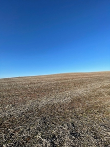 ONLINE AUCTION - Buchanan County Missouri Row Crop Farm - image 11
