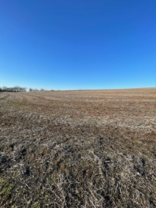 ONLINE AUCTION - Buchanan County Missouri Row Crop Farm - image 12