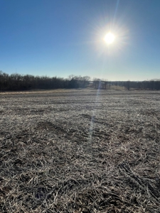 ONLINE AUCTION - Buchanan County Missouri Row Crop Farm - image 5