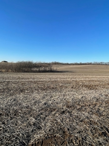 ONLINE AUCTION - Buchanan County Missouri Row Crop Farm - image 7