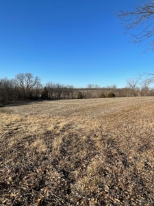 ONLINE AUCTION - Buchanan County Missouri Row Crop Farm - image 14