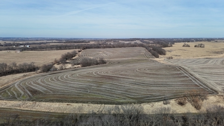 ONLINE AUCTION - Buchanan County Missouri Row Crop Farm - image 3