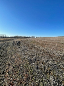 ONLINE AUCTION - Buchanan County Missouri Row Crop Farm - image 13
