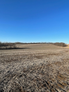 ONLINE AUCTION - Buchanan County Missouri Row Crop Farm - image 8