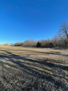ONLINE AUCTION - Buchanan County Missouri Row Crop Farm - image 4