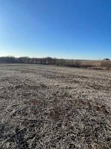 ONLINE AUCTION - Buchanan County Missouri Row Crop Farm - image 6
