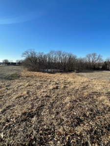 ONLINE AUCTION - Buchanan County Missouri Row Crop Farm - image 15