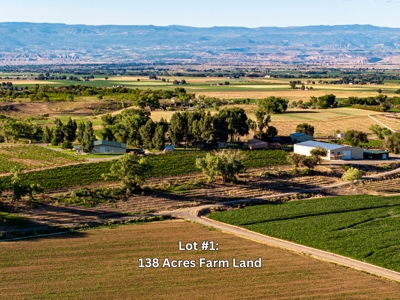 Berkeley Estates - Colorado Farm Land with Improvements AUCTION - image 3