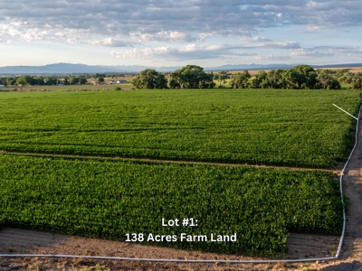Berkeley Estates - Colorado Farm Land with Improvements AUCTION - image 8