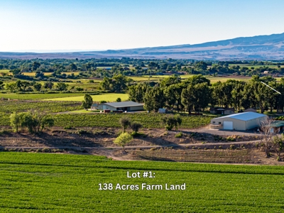 Berkeley Estates - Colorado Farm Land with Improvements AUCTION - image 4