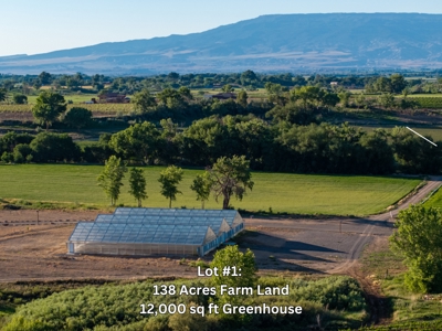 Berkeley Estates - Colorado Farm Land with Improvements AUCTION - image 7