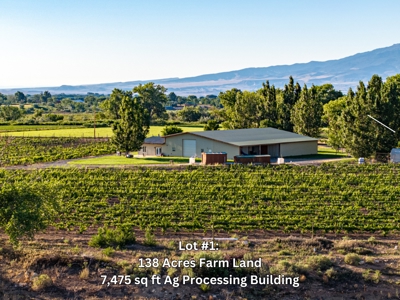 Berkeley Estates - Colorado Farm Land with Improvements AUCTION - image 6