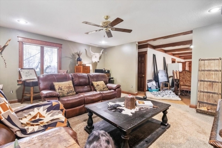 West Plains Missouri Home in Town Near Downtown - image 7