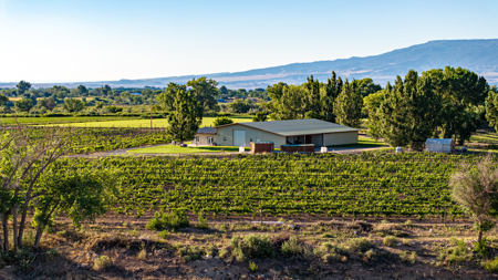 Colorado Irrigated Farm and Ranch with Insulated Shop - image 49