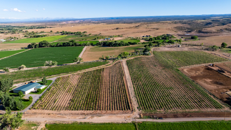 Colorado Irrigated Farm and Ranch with Insulated Shop - image 50