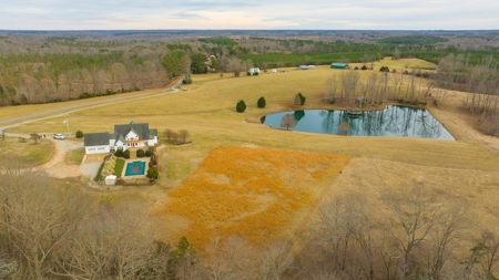 Country Home and Farmland for Sale in Jetersville, VA - image 2