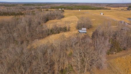 Country Home and Farmland for Sale in Jetersville, VA - image 45