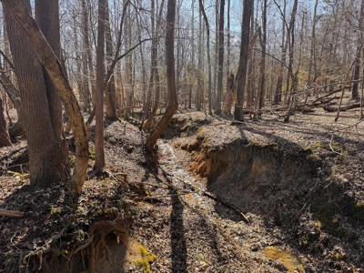 Country Home and Farmland for Sale in Jetersville, VA - image 42