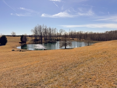 Country Home and Farmland for Sale in Jetersville, VA - image 44