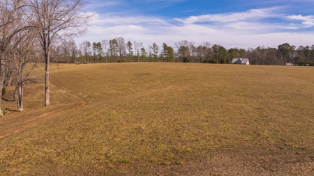 Country Home and Farmland for Sale in Jetersville, VA - image 9