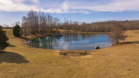Country Home and Farmland for Sale in Jetersville, VA - image 5