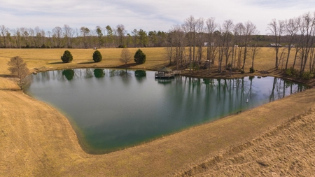 Country Home and Farmland for Sale in Jetersville, VA - image 49