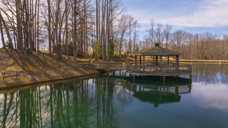 Country Home and Farmland for Sale in Jetersville, VA - image 6