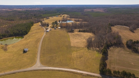 Country Home and Farmland for Sale in Jetersville, VA - image 50