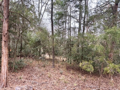 Holly Lake Ranch 1 Acre Residential Lot Wood County Texas - image 3