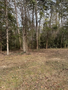 Holly Lake Ranch 1 Acre Residential Lot Wood County Texas - image 7