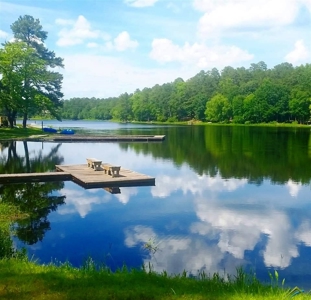 Holly Lake Ranch 1 Acre Residential Lot Wood County Texas - image 16