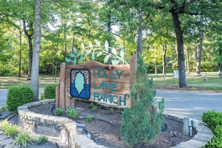 Holly Lake Ranch 1 Acre Residential Lot Wood County Texas - image 2