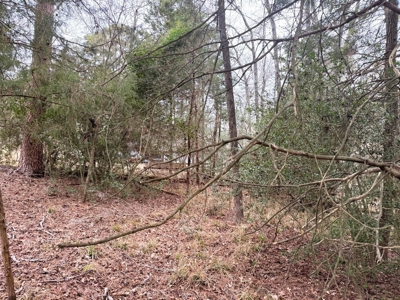 Holly Lake Ranch 1 Acre Residential Lot Wood County Texas - image 4