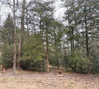 Holly Lake Ranch 1 Acre Residential Lot Wood County Texas - image 5