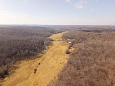 476+/- Acre Farm for Sale in the Missouri and Arkansas Ozark - image 44