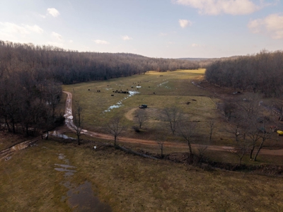 476+/- Acre Farm for Sale in the Missouri and Arkansas Ozark - image 43