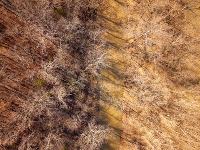 476+/- Acre Farm for Sale in the Missouri and Arkansas Ozark - image 49